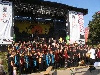 >Donauinselfest 2008